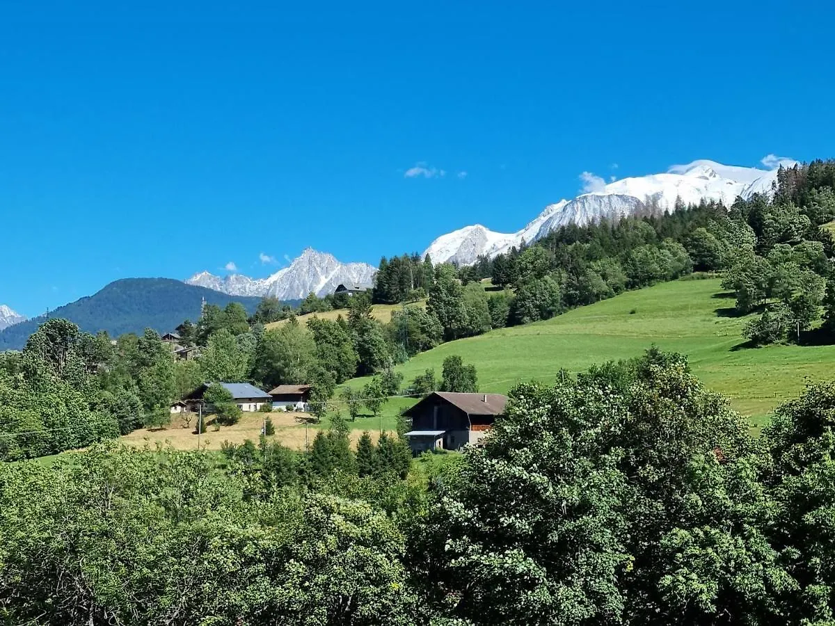 Apartment Appartement Neuf Avec Vue Mont Blanc, Parking Et Wifi A Combloux - Fr-1-560-113 France