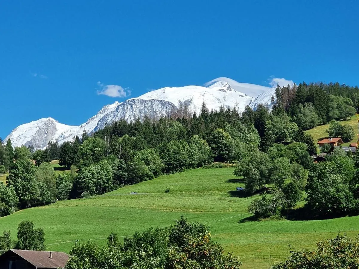 Apartment Appartement Neuf Avec Vue Mont Blanc, Parking Et Wifi A Combloux - Fr-1-560-113